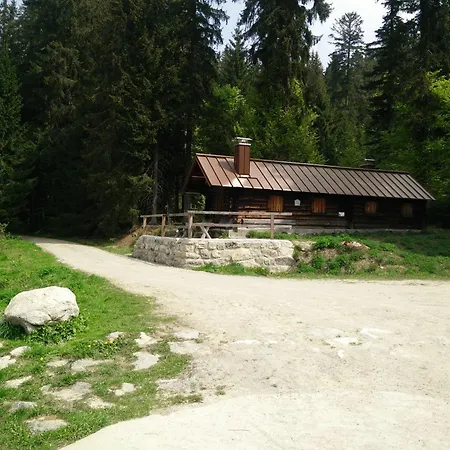 Mezonet Almberg Apartmany Jaj Mitterfirmiansreut Exterior photo